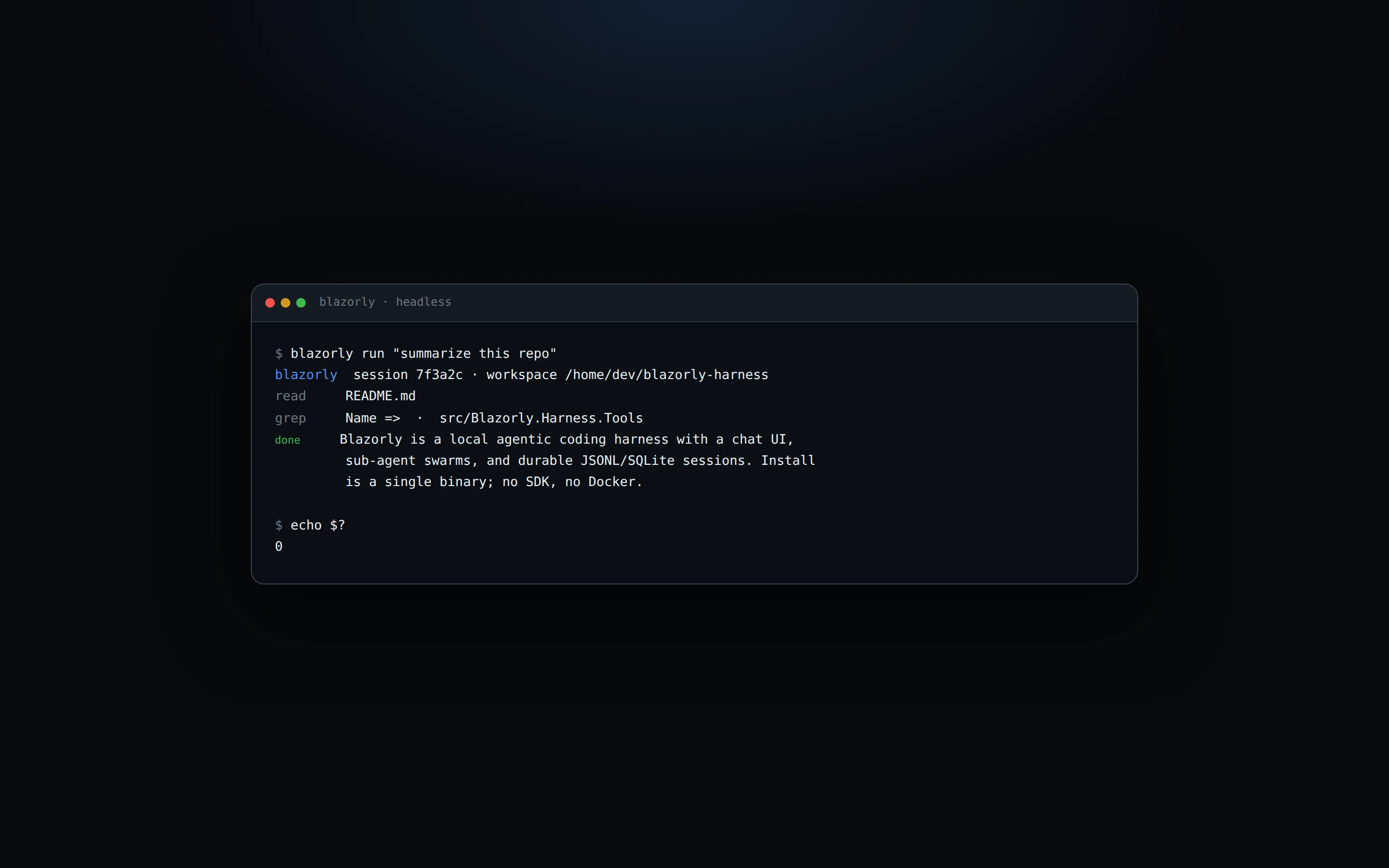 Headless Blazorly CLI running blazorly run summarize this repo and exiting 0.
